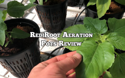Repost: RediRoot Aeration Pots Review